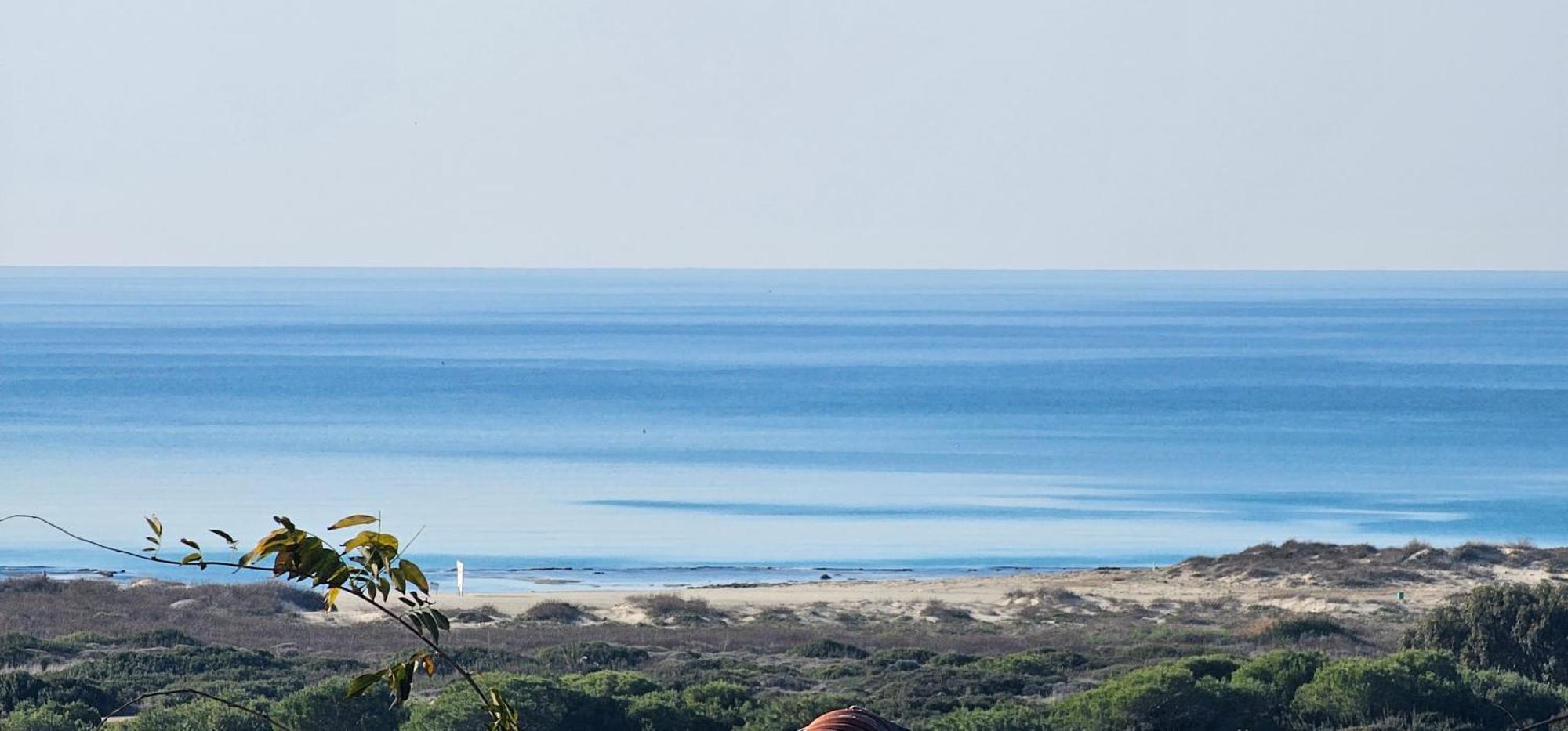 Cozy Seaview Glamping Caravan HaBonim Eksteriør billede